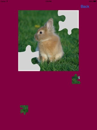 Baby Rabbits Jigsaw Puzzles screenshot
