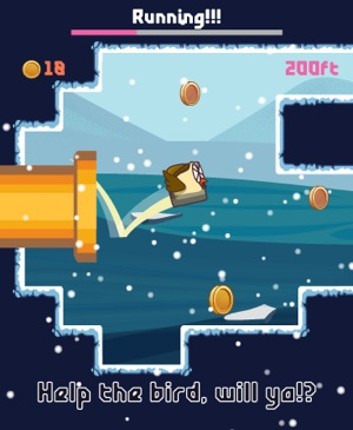 Bird Watch Game: learn to flap screenshot