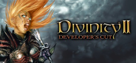 Games like Divinity II: Developer's Cut