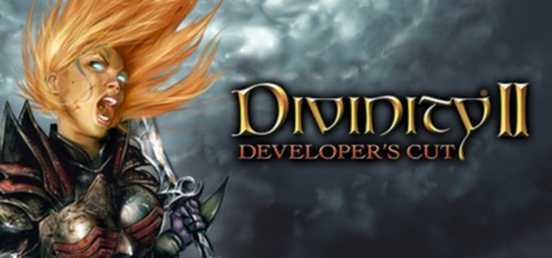 Divinity II: Developer's Cut Image