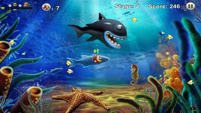 Feeding Frenzy - Eat Fish Image