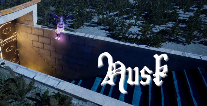 Husk Image