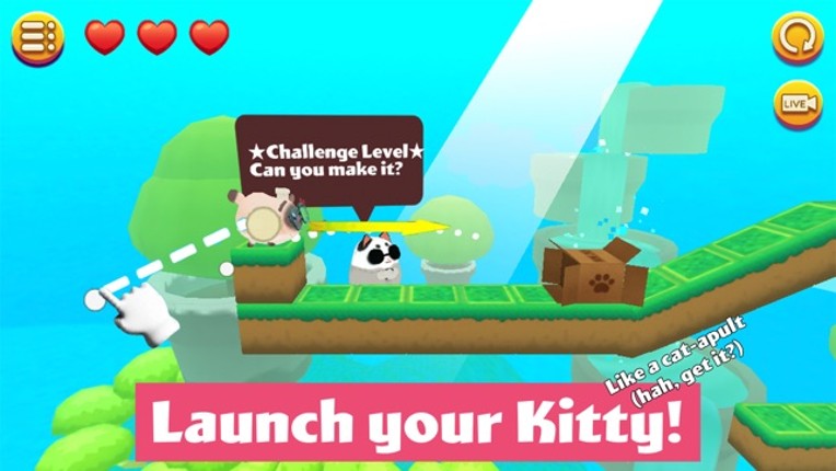 Kitty in the Box 2 screenshot