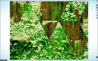 Let's Play Jigsaw Puzzles Image