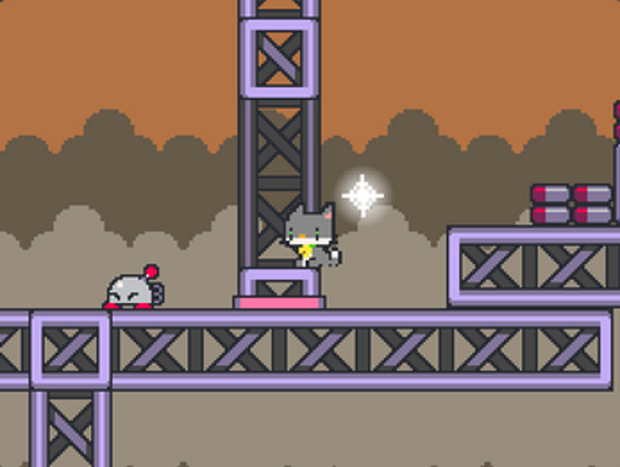 Pingo The Cat With Celestial Spirit Image