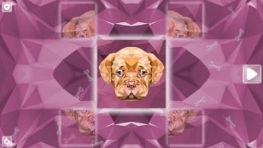 Poly Puzzle: Dogs Image