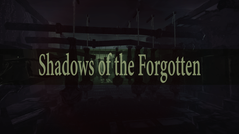 Shadows of the Forgotten Game Cover