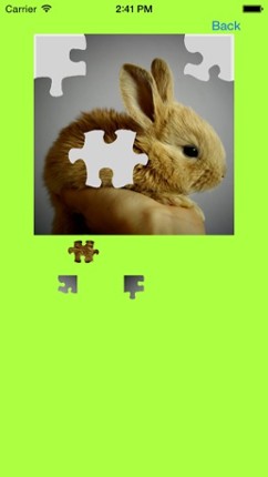 Baby Rabbits Jigsaw Puzzles screenshot