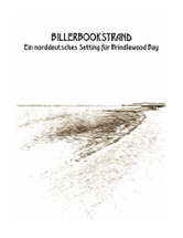 Billerbookstrand Image