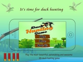 Duck Hunting 3D Image