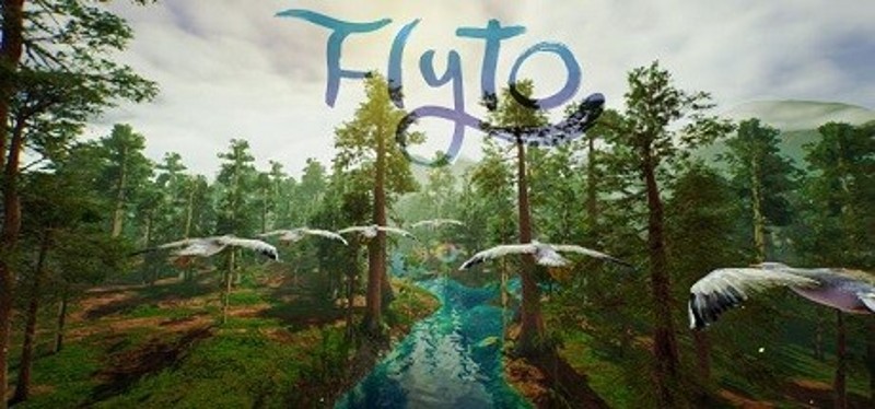 Flyto Image