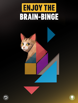 Netflix Puzzled screenshot