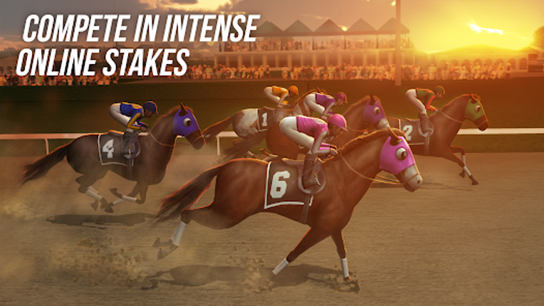 Photo Finish Horse Racing Image