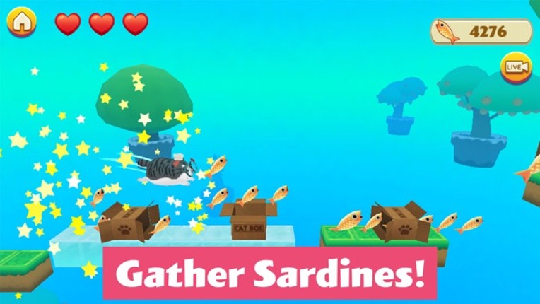 Kitty in the Box 2 screenshot