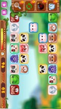 Onet Pet Animal Connect Image