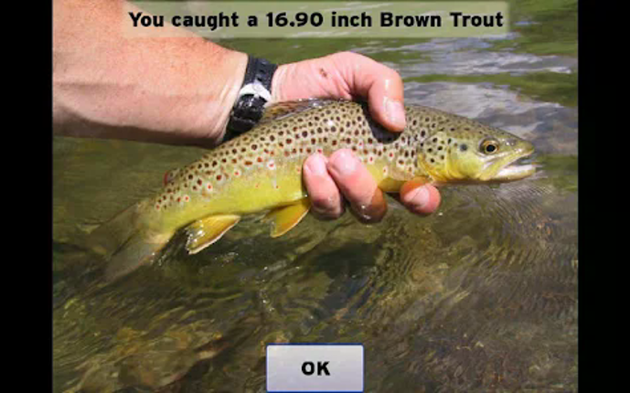 Fly Fishing Simulator Image
