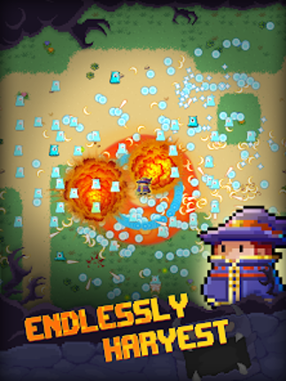 Pixel Wizard: Dungeon Survivor screenshot