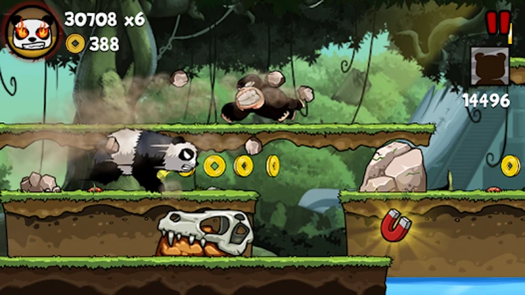 Panda Run Image