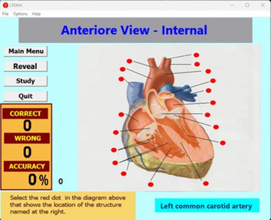 Label That Diagram - Human Heart - PreMed Image