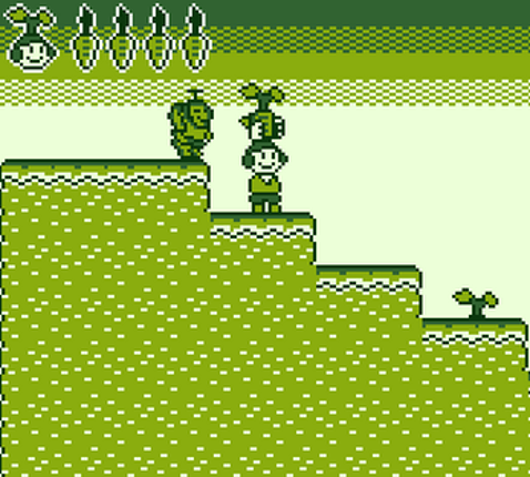 Seed Boy Image