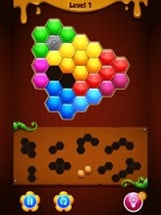 Hexa Blocks! Puzzle Image