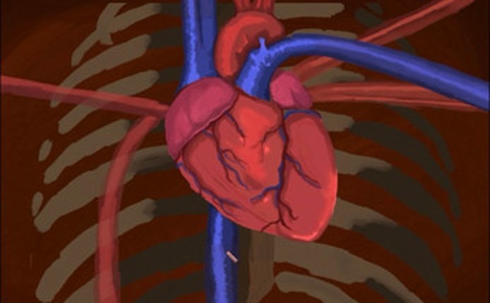 The Last Stand Image