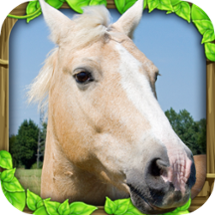 Wild Horse Simulator Image