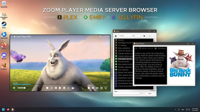 Zoom Player screenshot