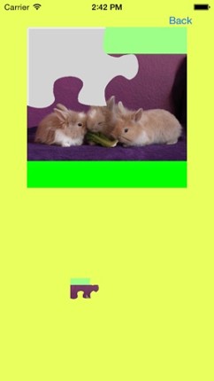 Baby Rabbits Jigsaw Puzzles screenshot