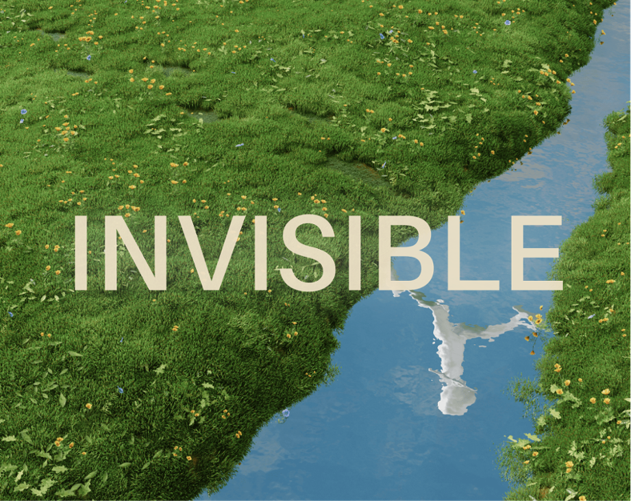 Games like Invisible