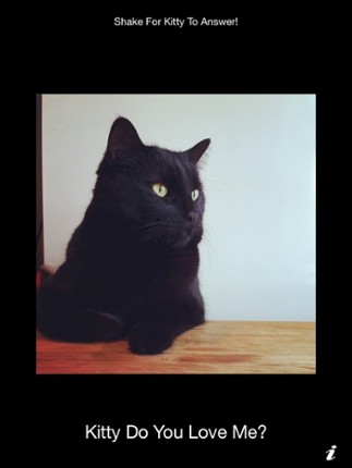 Kitty Do You Love Me? screenshot