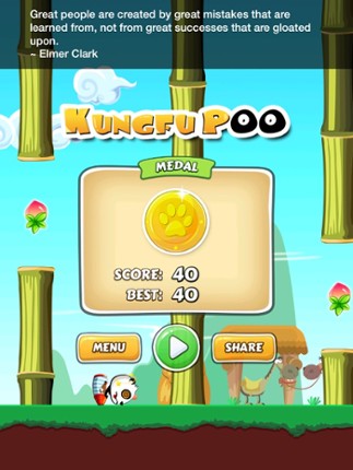Kung Fu Poo - Tiny Flying Panda Image