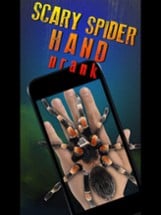 Scary Spider Hand Prank Image