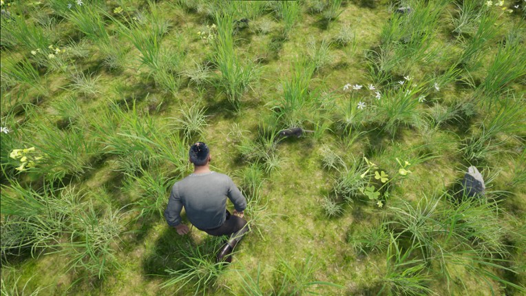 Statera: Aurum screenshot