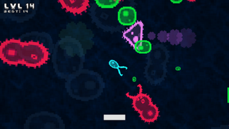 Unicellular 2 Image