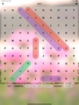 Wordscapes Search 2021: New Image