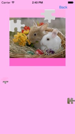 Baby Rabbits Jigsaw Puzzles screenshot