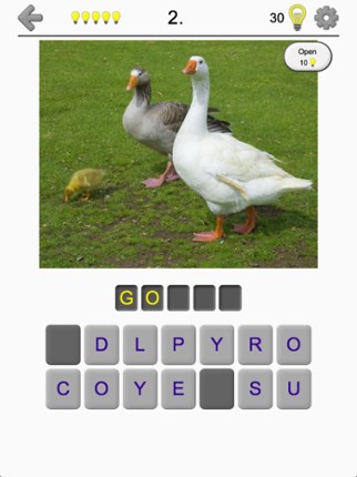 Bird World - Quiz about Famous Birds of the Earth screenshot