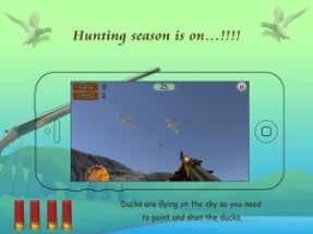 Duck Hunting 3D Image