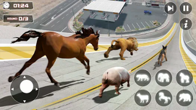 GT Animal 3D: Racing Game Image