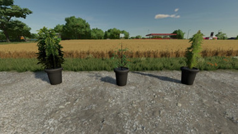 FS22 - Cannabis Plants Pack 1 Image
