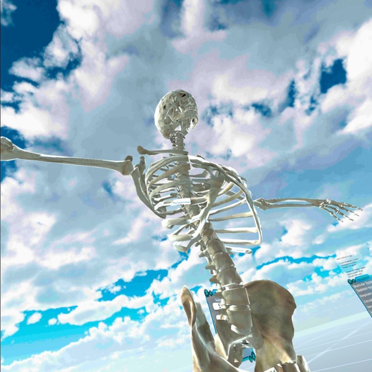 Games like Human Anatomy