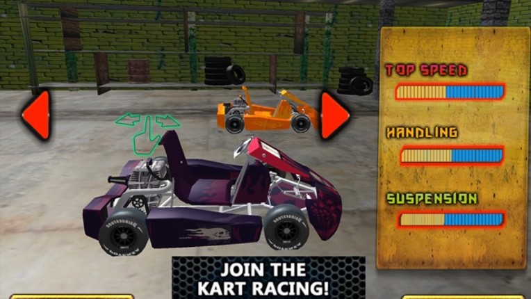 Kart Driving Simulator screenshot