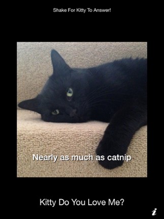 Kitty Do You Love Me? screenshot