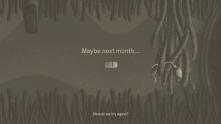 Maybe This Time? Image