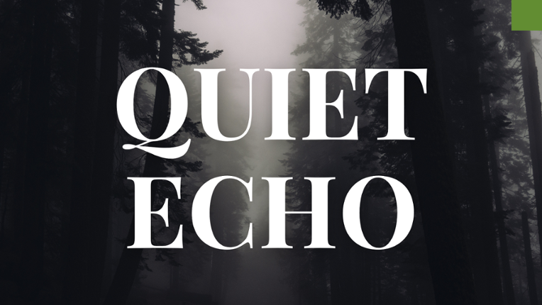 Quiet Echo Image