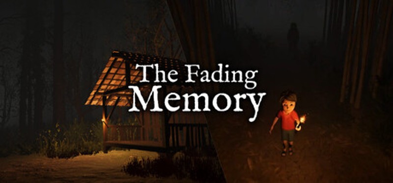 The Fading Memory Image