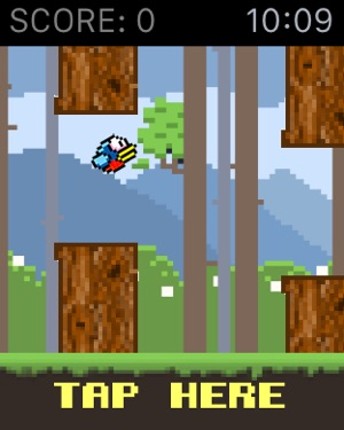 Bird Watch Game Free screenshot