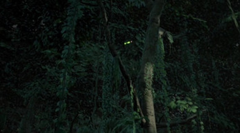 PREDATOR screenshot