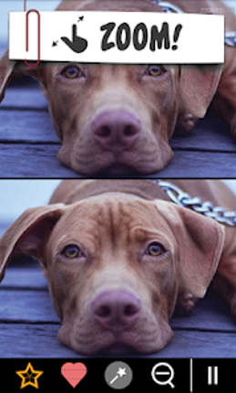 Find the difference 750+ Image